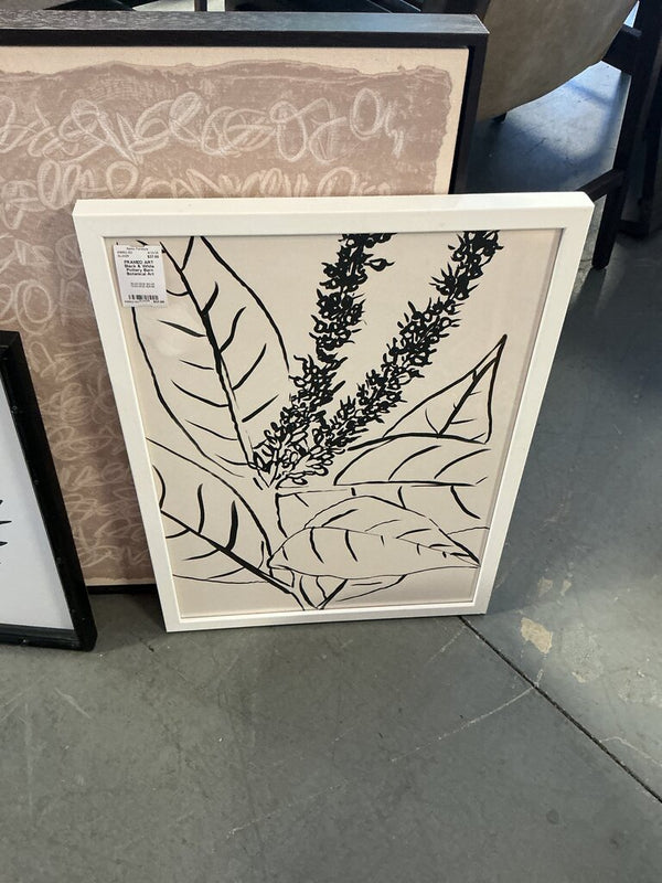 Black & White Pottery Barn Botanical Art