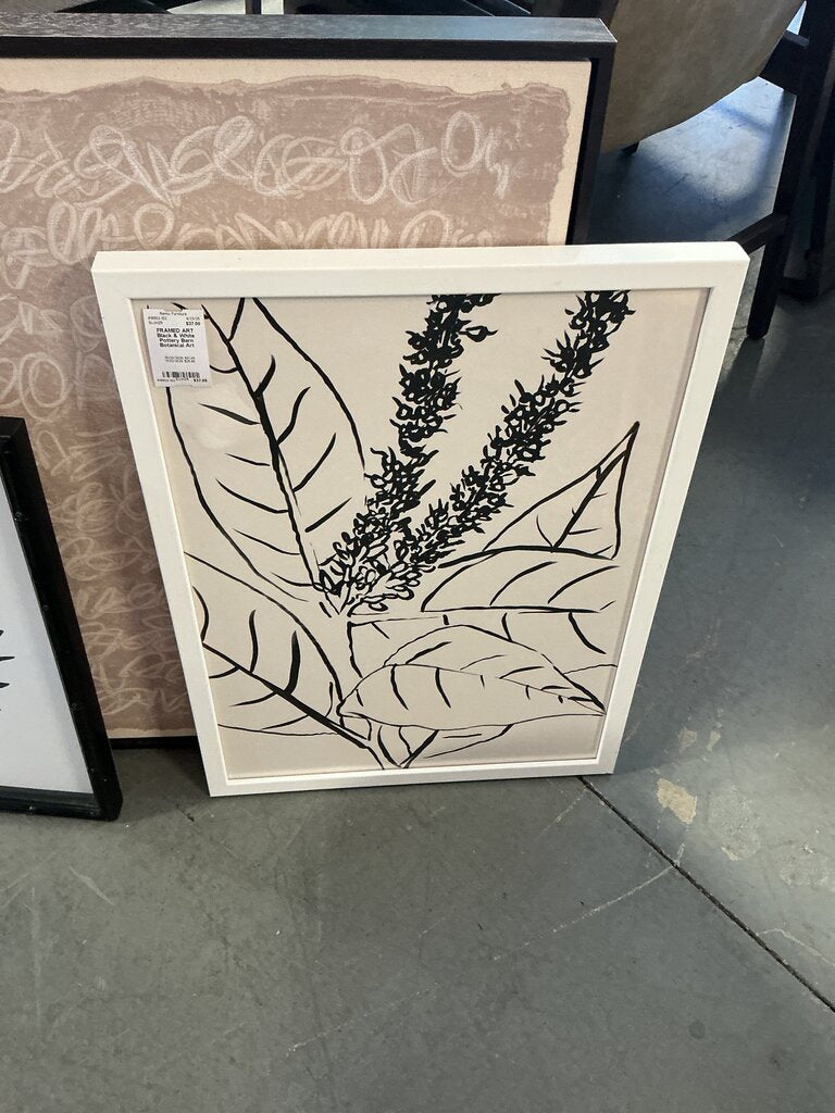 Black & White Pottery Barn Botanical Art