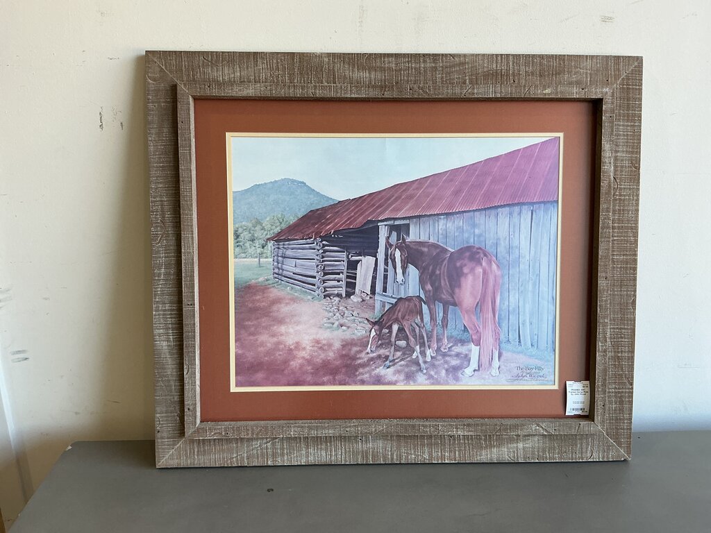 Framed Horse Print by John Wood