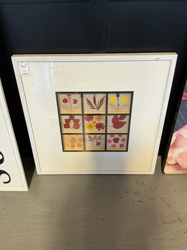 Dried Floral Shadowbox